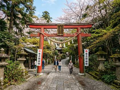 桜咲く日本の神社の参道に立つ赤い鳥居と人々。